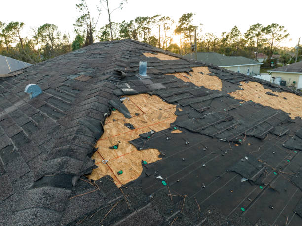 Metamora, IL Roofing Services Company